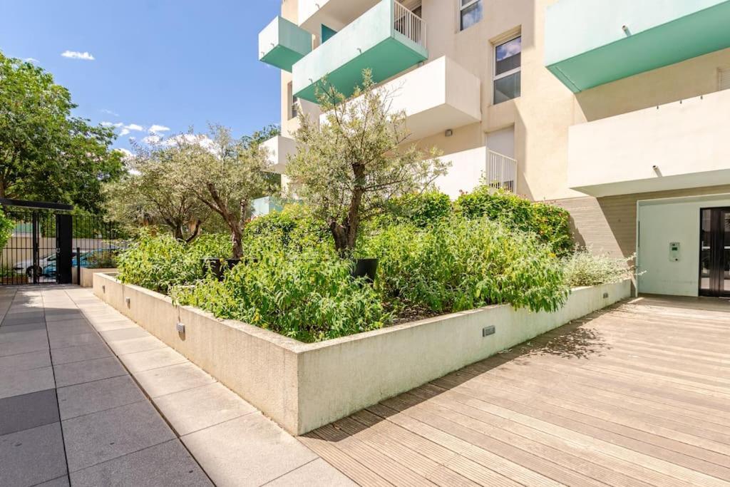 Appartement Cosy Et Chic Montpellier Eksteriør billede