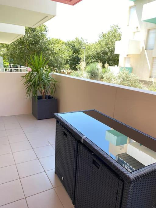 Appartement Cosy Et Chic Montpellier Eksteriør billede